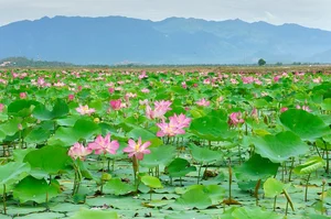 Hidden Gems: Unique Instagrammable Spots in Ho Van Cuong's Hometown - image 4