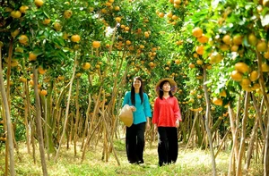 Hidden Gems: Unique Instagrammable Spots in Ho Van Cuong's Hometown - image 0