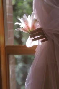 YiTuYu Art Language Vol.9867: Capturing the Elegance of Liu Liu - image 2