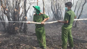Emergency Response: 200 Personnel Battle Fire at Tram Chim National Park - image 11