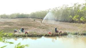 Emergency Response: 200 Personnel Battle Fire at Tram Chim National Park - image 7