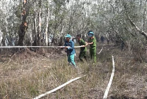 Emergency Response: 200 Personnel Battle Fire at Tram Chim National Park - image 4