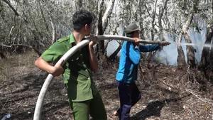 Emergency Response: 200 Personnel Battle Fire at Tram Chim National Park - image 10