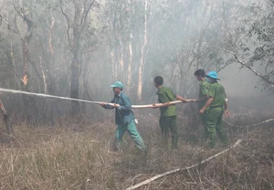 Emergency Response: 200 Personnel Battle Fire at Tram Chim National Park - image 12