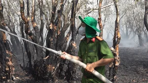 Emergency Response: 200 Personnel Battle Fire at Tram Chim National Park - image 3