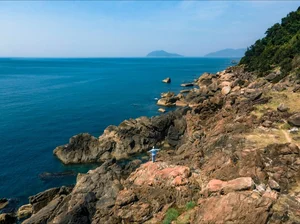 A Culinary Journey: Discovering the Authentic Taste of Quang Delicacies in Da Nang - image 2