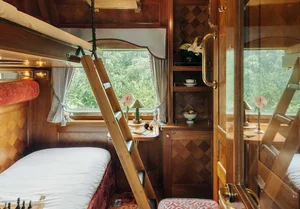 Luxury Train Journey Through Malaysia: An Experience Beyond 5-Star Resorts - image 6