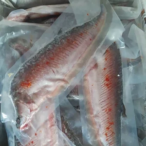 Three Former Pig-Feed Fish That Became Highly Sought-After Gourmet Delicacies - image 10