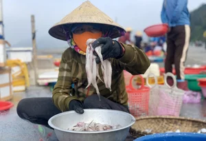 Three Former Pig-Feed Fish That Became Highly Sought-After Gourmet Delicacies - image 6