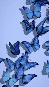 550+ Shimmering and Colorful Butterfly Wallpapers for Your Screen - image 0