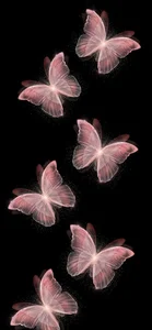 550+ Shimmering and Colorful Butterfly Wallpapers for Your Screen - image 9