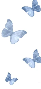 550+ Shimmering and Colorful Butterfly Wallpapers for Your Screen - image 11