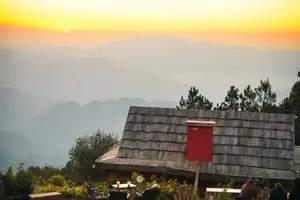 Ta Xua Winter: Discover the pristine beauty of forest flowers amidst majestic mountains - image 9