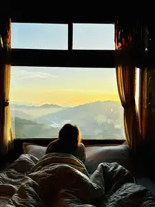 Ta Xua Winter: Discover the pristine beauty of forest flowers amidst majestic mountains - image 11