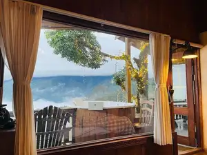 Ta Xua Winter: Discover the pristine beauty of forest flowers amidst majestic mountains - image 2