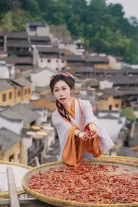 Discover Shen Xuan Mei's Grace in Hanfu Amidst Ancient Village Charm - YiTuYu Vol.8713 - image 1