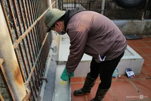 Wildlife Conservation: Keeping Animals Warm During the Winter Chill - image 7