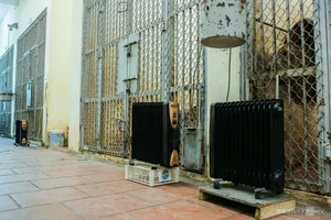 Wildlife Conservation: Keeping Animals Warm During the Winter Chill - image 2