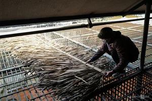 Wildlife Conservation: Keeping Animals Warm During the Winter Chill - image 3