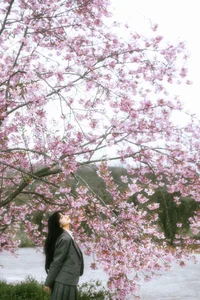 YiTuYu Art Language Vol.6745: Er Liang Feng Yue Collection - image 4