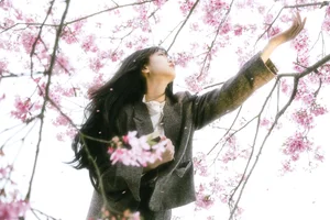 YiTuYu Art Language Vol.6745: Er Liang Feng Yue Collection - image 23