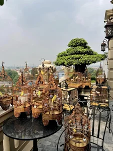 Luxury Real Estate: The Massive 9-Story Villa Hidden in Hanoi's Historic Old Quarter - image 7