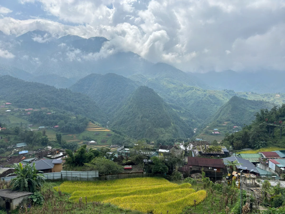 Sa Pa Golden Season Ends Early: A Guide to Vietnam's Rice Terraces