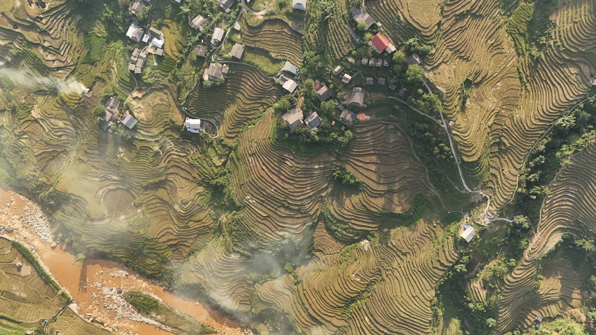 Sa Pa Golden Season Ends Early: A Guide to Vietnam's Rice Terraces