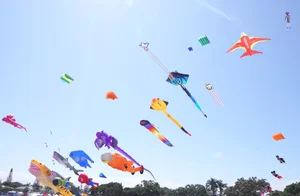 Vietjet Redcliffe Kitefest: A Sky Full of Color - image 4