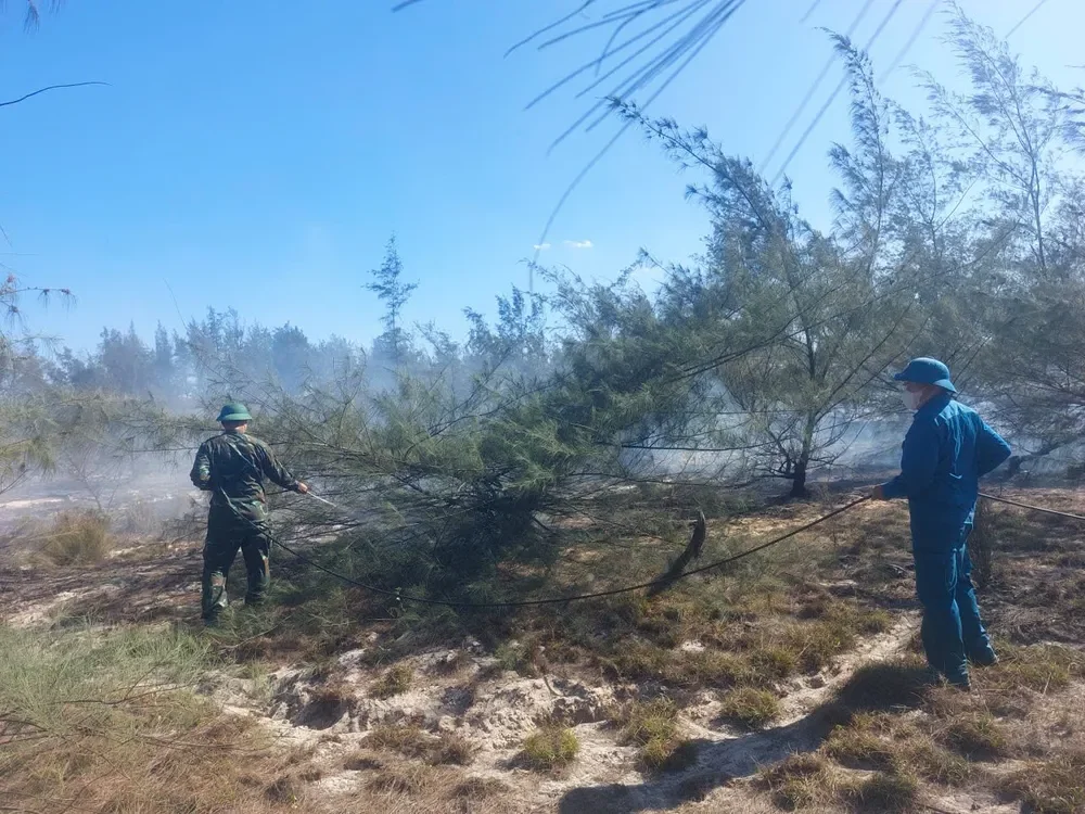 Massive Forest Fires in Quang Tri Province Amid Intense Heatwave