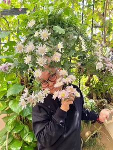 Khám phá ngôi nhà phố cổ Hàng Bông ấm cúng của 'vua hài' Xuân Hinh - image 1