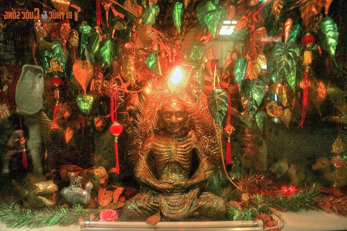 Exploring the Most Exquisite Buddhist Statue Collections in Vietnam's Ancient and Sacred Pagodas