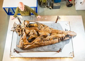 Jurassic Ultimate Predator Fossil Unveiled: Scientists Left in Awe - image 1