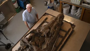 Jurassic Ultimate Predator Fossil Unveiled: Scientists Left in Awe - image 3