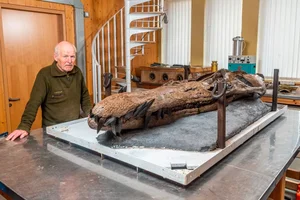 Jurassic Ultimate Predator Fossil Unveiled: Scientists Left in Awe - image 5