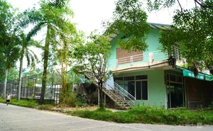 Exploring the Largest Park in Thanh Hoa Before Its Major Transformation and Renovation Project - image 8