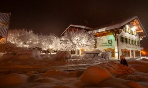 Exploring Munich's Winter Wonderland During a Record-Breaking Snowstorm - image 8