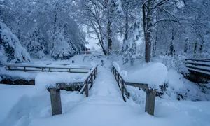 Exploring Munich's Winter Wonderland During a Record-Breaking Snowstorm - image 1