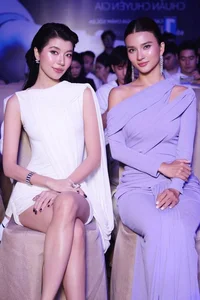 Vietnamese Merited Artist Nominated for the World's Most Beautiful Face - image 3