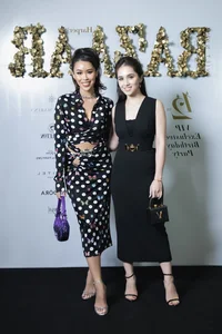 The Billionaire Sisters-in-Law: A Glimpse into Ultra-Luxury Fashion - image 3
