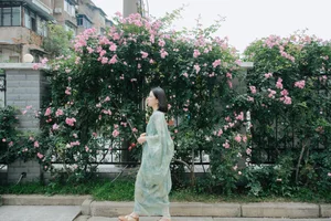 Art Language Vol.6939 Miao Miao: A YiTuYu Photography Masterpiece - image 0