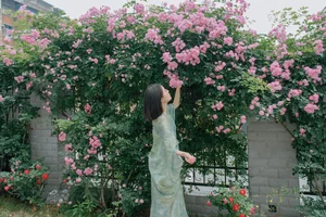 Art Language Vol.6939 Miao Miao: A YiTuYu Photography Masterpiece - image 15