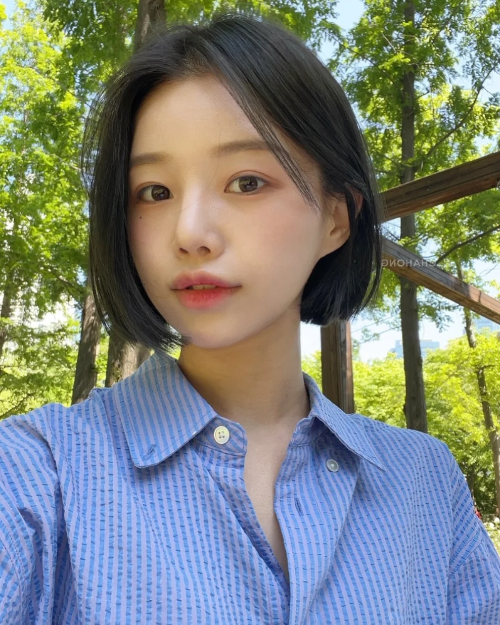 Timeless elegance of classic black bob hair amidst the lush green forest