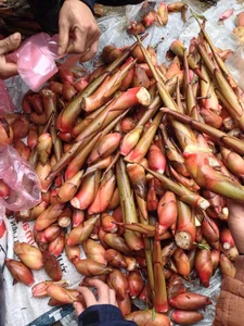 From Waste to Wonder: Discovering Rare Delicacies Made from Unexpected Ingredients - image 2