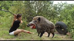 Understanding the Surge in Suburban Wild Boar Attacks - image 3