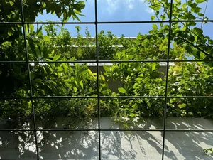 TAA OFFICE: A 500m2 Urban Forest Oasis in the Heart of Ho Chi Minh City - image 23