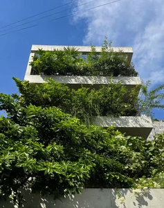 TAA OFFICE: A 500m2 Urban Forest Oasis in the Heart of Ho Chi Minh City - image 0