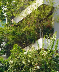 TAA OFFICE: A 500m2 Urban Forest Oasis in the Heart of Ho Chi Minh City - image 11