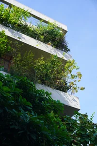 TAA OFFICE: A 500m2 Urban Forest Oasis in the Heart of Ho Chi Minh City - image 9