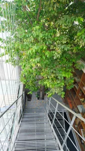 TAA OFFICE: A 500m2 Urban Forest Oasis in the Heart of Ho Chi Minh City - image 21